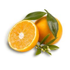 برتقال أشقر