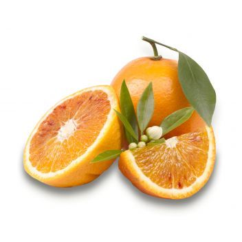 Tarot Orange