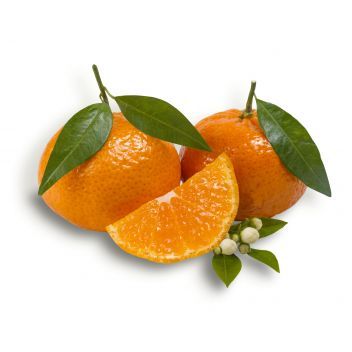 Mandarine Tardivo di Ciaculli